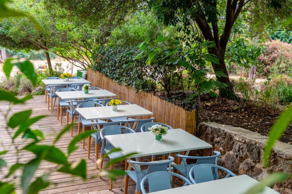 Travel Hotel Eilon Elon ภายนอก รูปภาพ